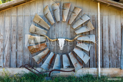 Picture of Texas barn art